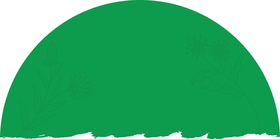 background shape